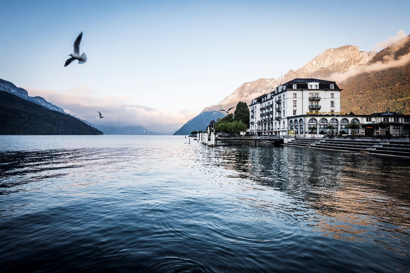 Bild des Hotels Waldstaetterhof in Brunnen vom See aus