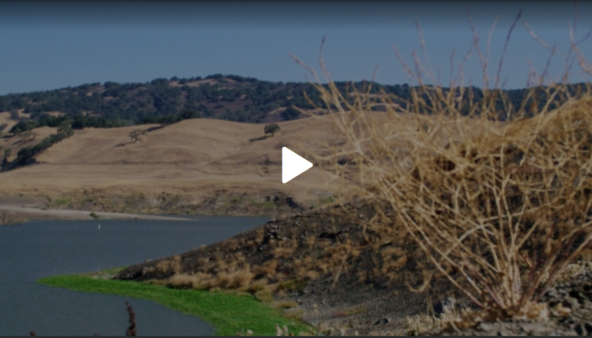 Titelbild  Video Wassermangel SRF